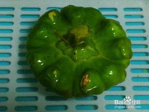 天天吃姜饼瓜,天天享受甜蜜滋味