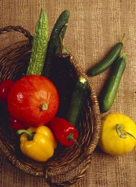 松瓜怎么吃最好,探索最佳食用方法