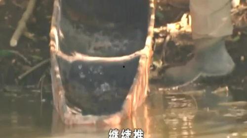 吃瓜猎奇木木,一场网络现象的深度剖析