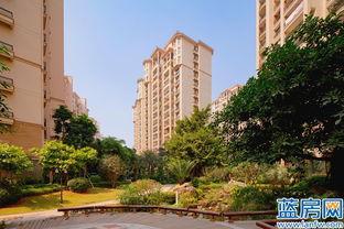 天利仁和吃瓜,吃瓜群众的欢乐盛宴