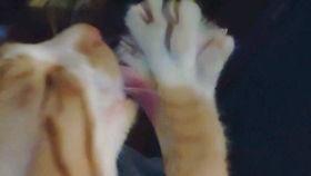 高考吃瓜母亲视频,一场关于爱与教育的温馨故事