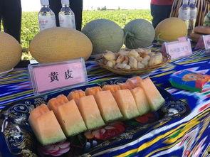 吐鲁番吃瓜的地方,探寻新疆瓜果飘香之地