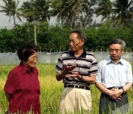 吃粮不忘袁隆平吃瓜不忘,传承瓜果丰收喜悦