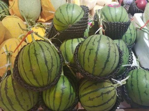 海南高考吃瓜,揭秘学子们的“清凉一夏”