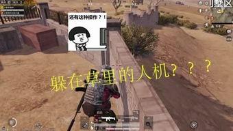 吃鸡战场小瓜,小瓜带你领略吃鸡战场魅力