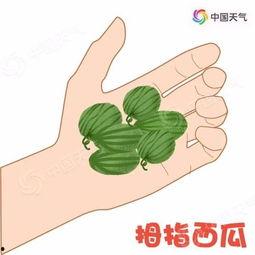 吃瓜妹妹带你飞,揭秘娱乐圈幕后故事