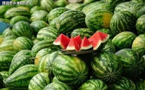 在线吃瓜全部,揭秘虚拟世界中的“瓜田”盛况