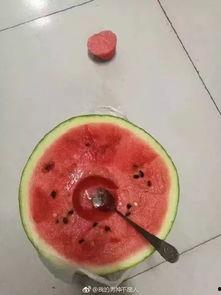 慎入吃瓜,揭秘网络舆论背后的真相与陷阱