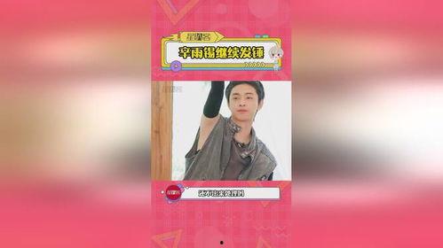 辛雨锡吃瓜,瓜田里的明星，揭秘娱乐圈幕后故事