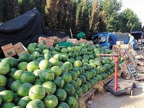 吃瓜第九楼,网络热帖背后的真相与争议