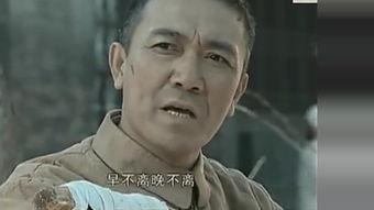 罗主任骂吃瓜,揭秘网络舆论背后的真相