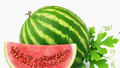 吃瓜卖瓜种瓜的故事原文,一则寓言故事的三重境界