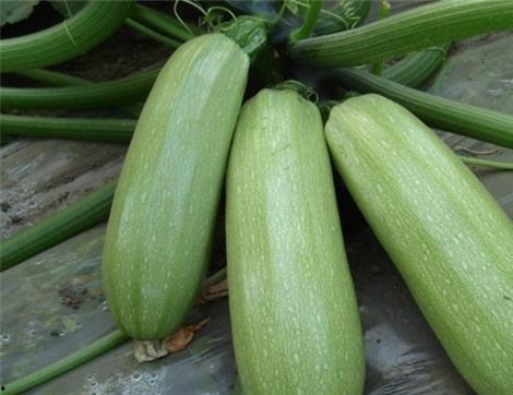 周西吃瓜,揭秘娱乐圈背后的那些事儿