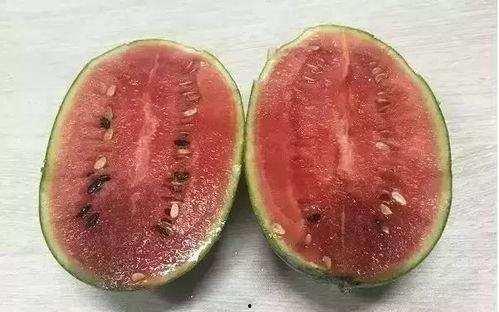 吃瓜吐籽吗,揭秘瓜果中的小秘密
