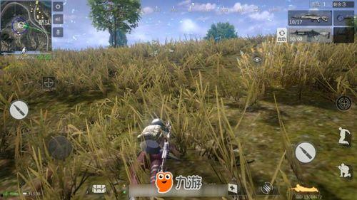 外国妹子吃鸡瓜,趣味横生的美食体验