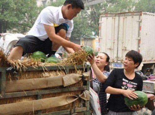 老人要瓜吃,老人心系瓜果情