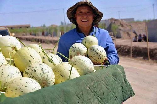 俄罗斯和印度吃瓜,两国互动背后的国际观察