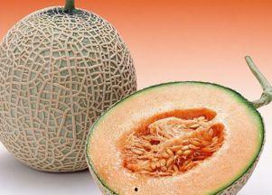 吃哈密瓜能吃木薯吗,能否同食的探讨