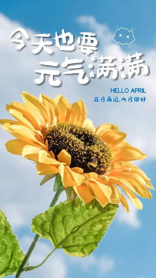 吃瓜夏日海报,清凉一夏，趣味无限