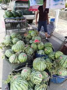 桓台吃瓜视频事件,揭秘网络谣言背后的真相