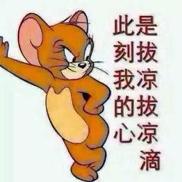 台下的吃瓜群众图片,揭秘现场众生相