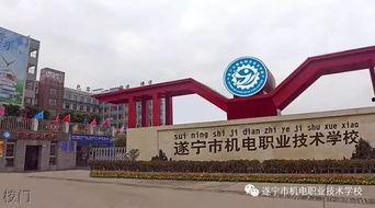 遂宁职校吃瓜,揭秘校园生活背后的趣味与争议