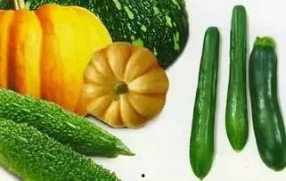 老了吃瓜图片,老年生活的新风尚