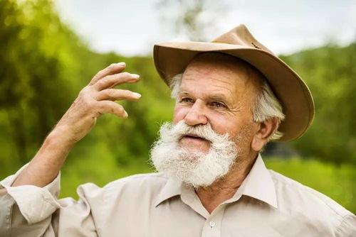 满级人类老人吃瓜,吃瓜界的传奇高手