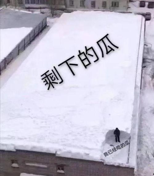 剩下的瓜我也已经吃的瓜,回味那些“剩下的瓜”中的美味时光