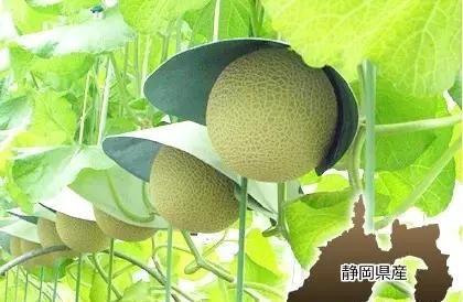 吃瓜100秒,轻松掌握娱乐圈热点动态