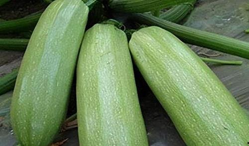 4月吃的瓜,盘点那些让人津津乐道的瓜事