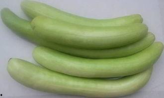 种花和吃瓜反思,生态种植与生活品味的双重反思