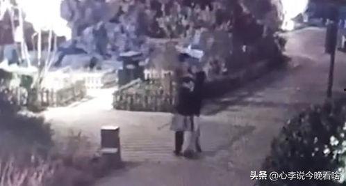 吃瓜季节完整视频,揭秘热门事件背后的真相与笑料